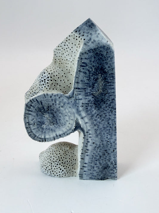 Blue coral tower, side view on a white background
