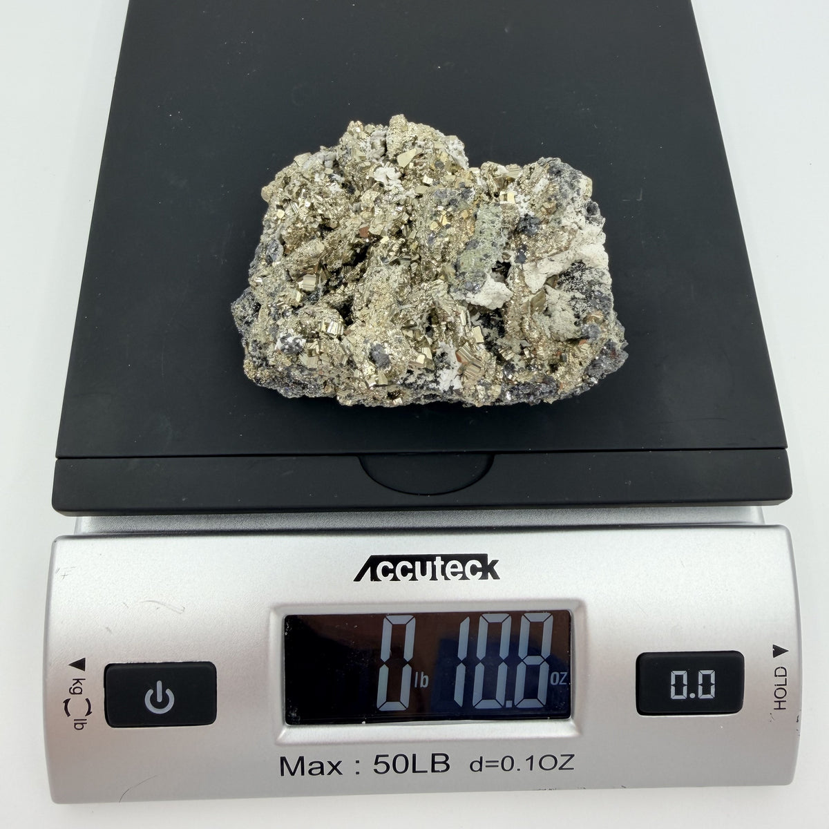 09-scale.jpg