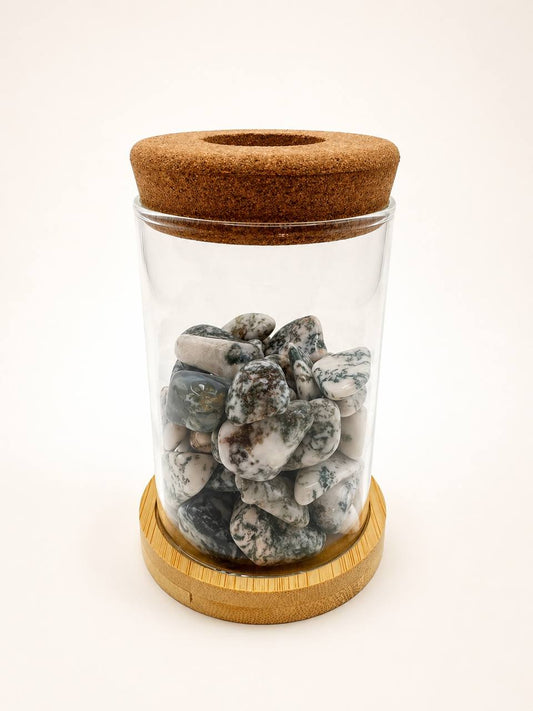 Tumbled Tree Agate stones in glass propagation vase