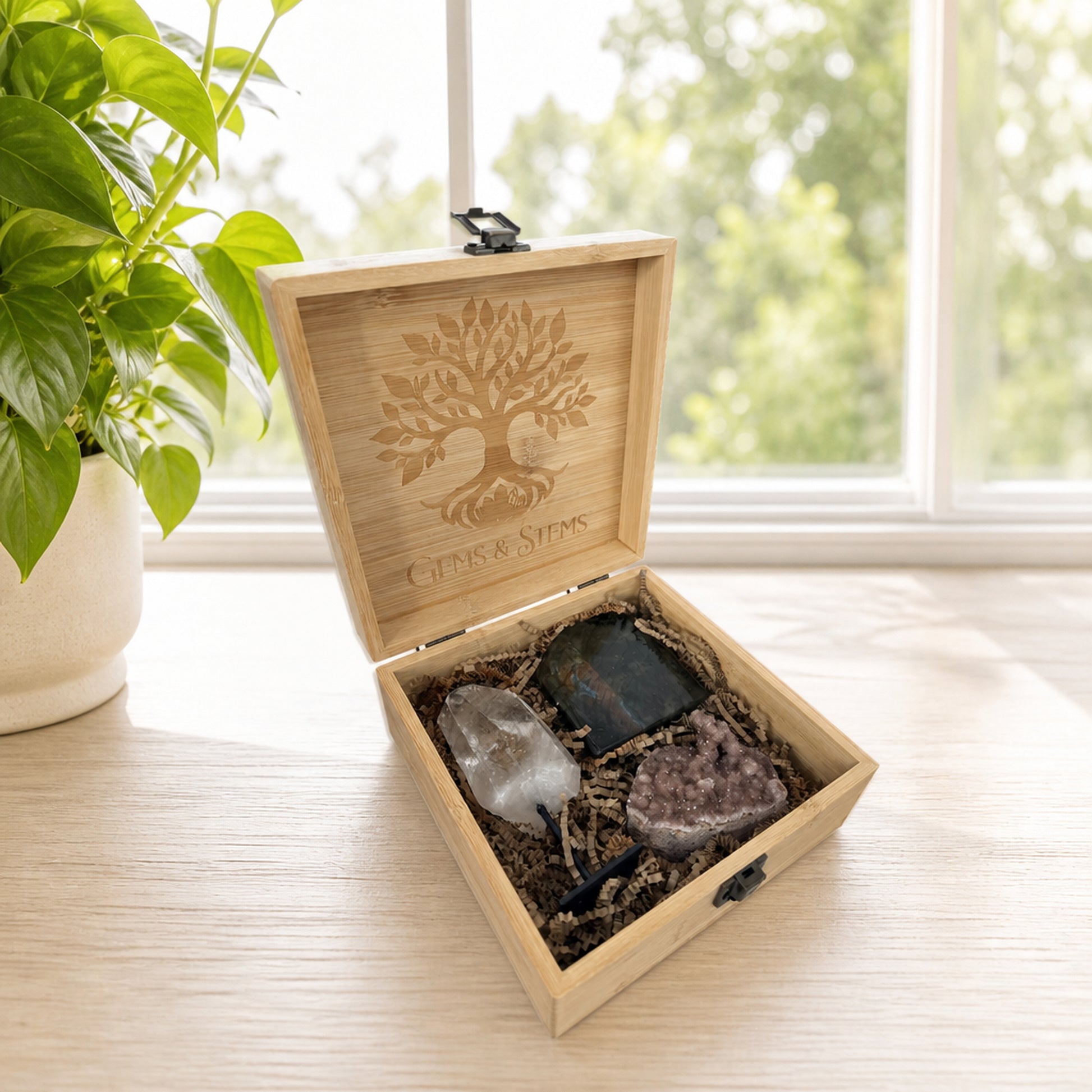 Crystal gift set styled in a bright window