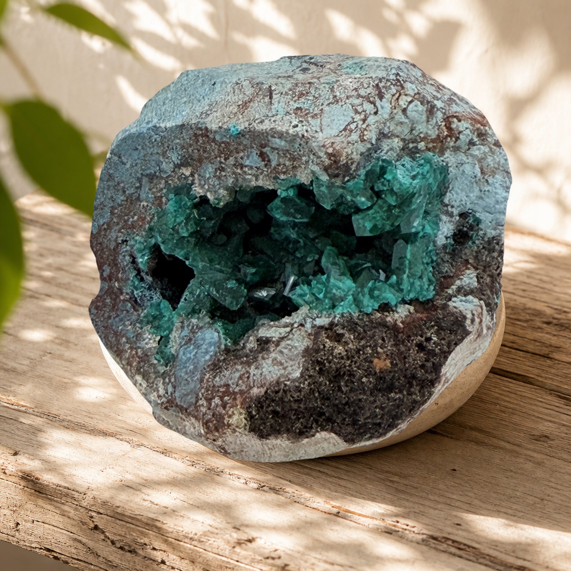 Dioptase Cave Nodule from Congo, Emerald Crystal Geode with Blue Chrysocolla Skin, Rare Collector Sp