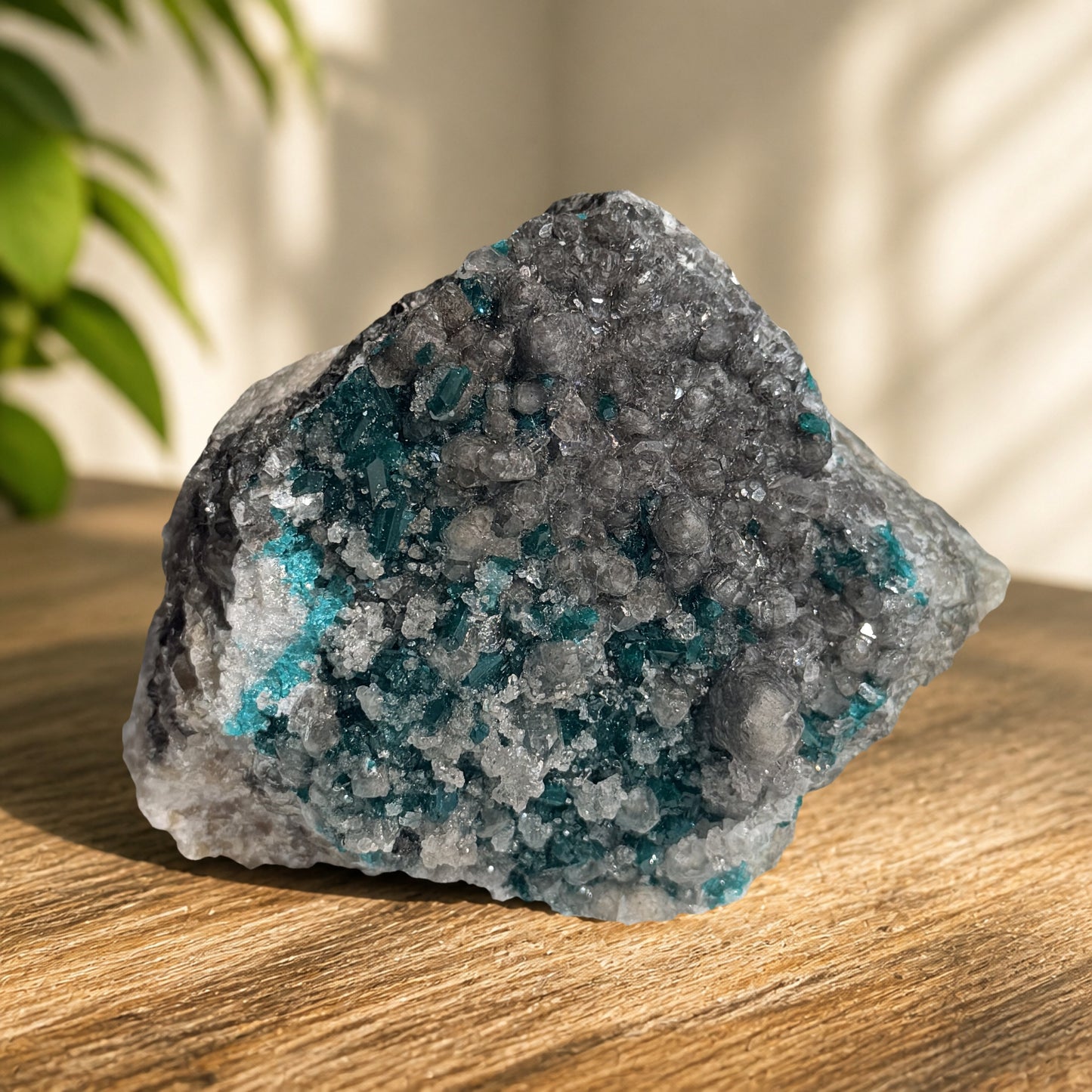 Dioptase on Calcite Cluster from Congo, Sparkling Natural Crystal Specimen, 14 oz Emerald Green Display Piece