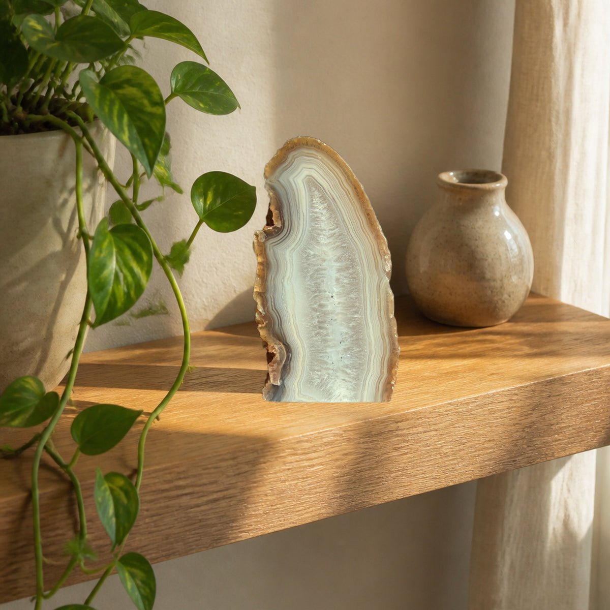 01-hero-shelf.jpg