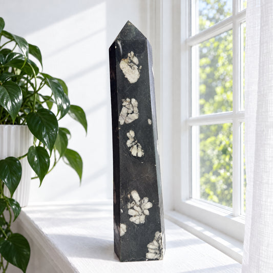 01-hero-v2.jpg