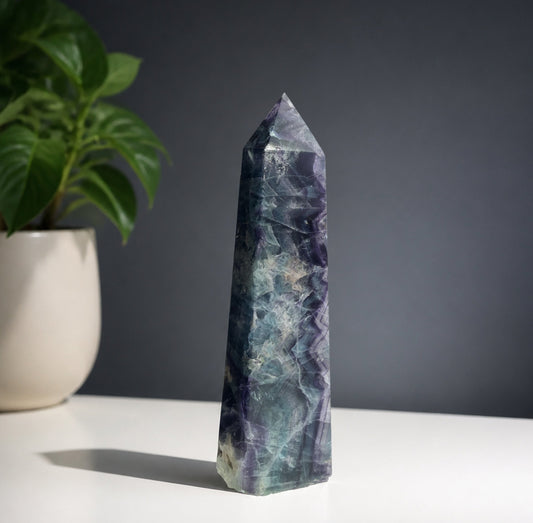 Rainbow fluorite tower on a white shelf against dark slate, leafy plant alongside