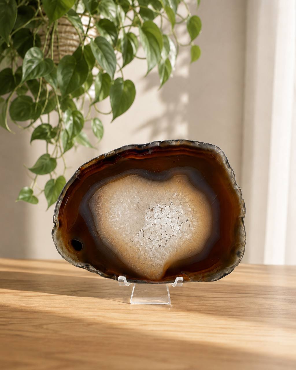 Natural agate slice with druzy quartz center and amber banding on acrylic stand