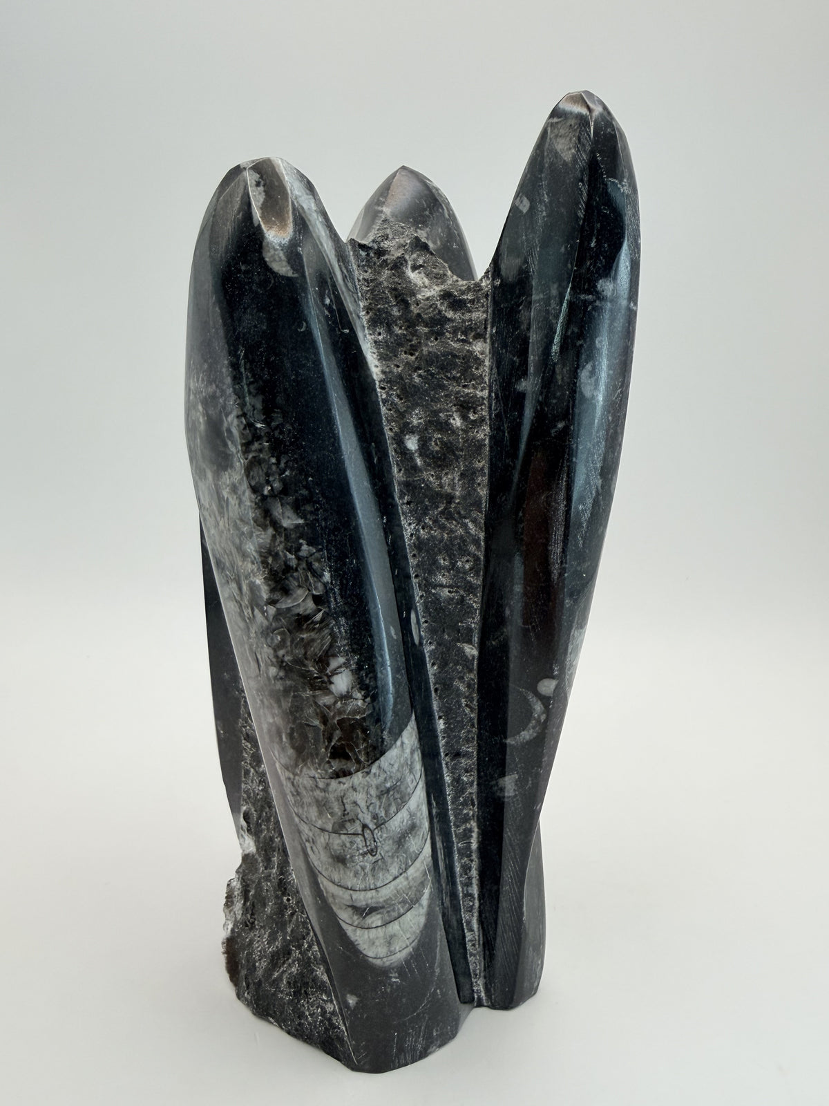 Orthoceras fossil tower, back