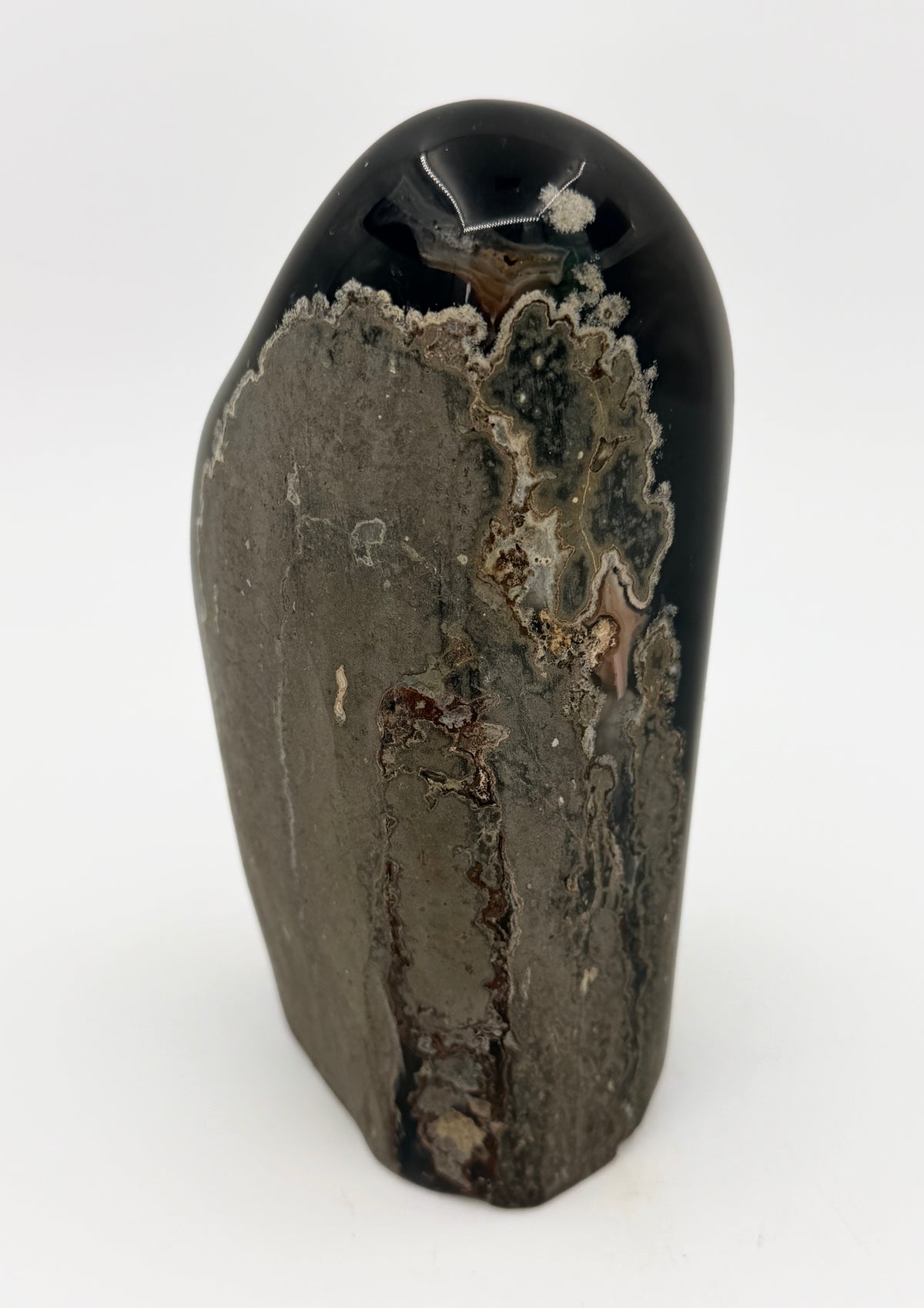 03-back.jpg