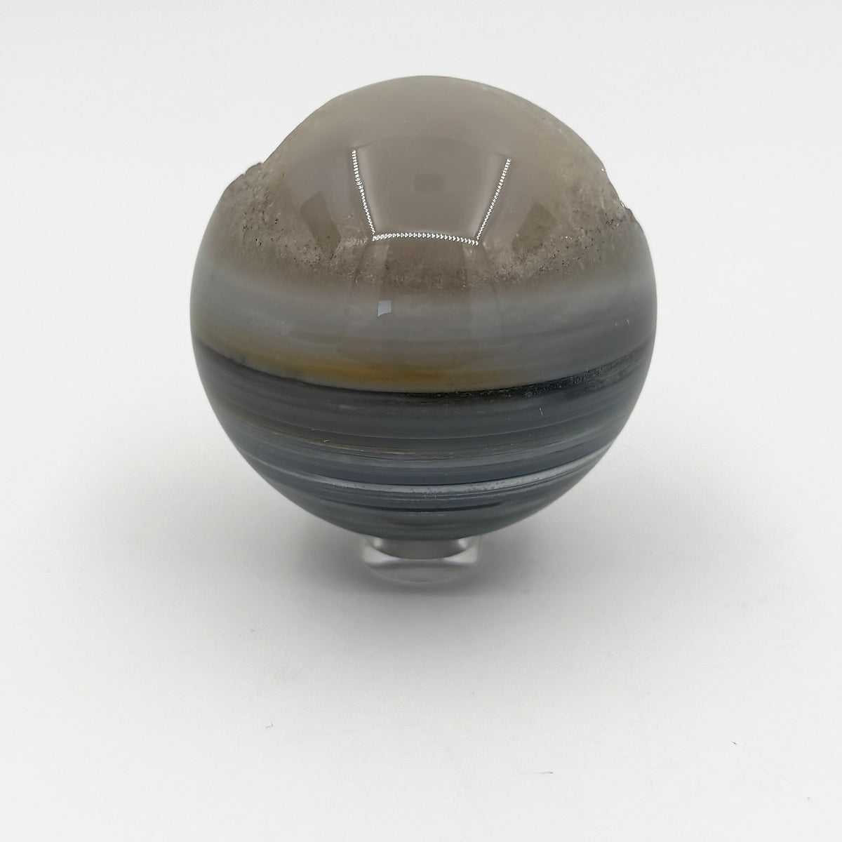 03-back.jpg
