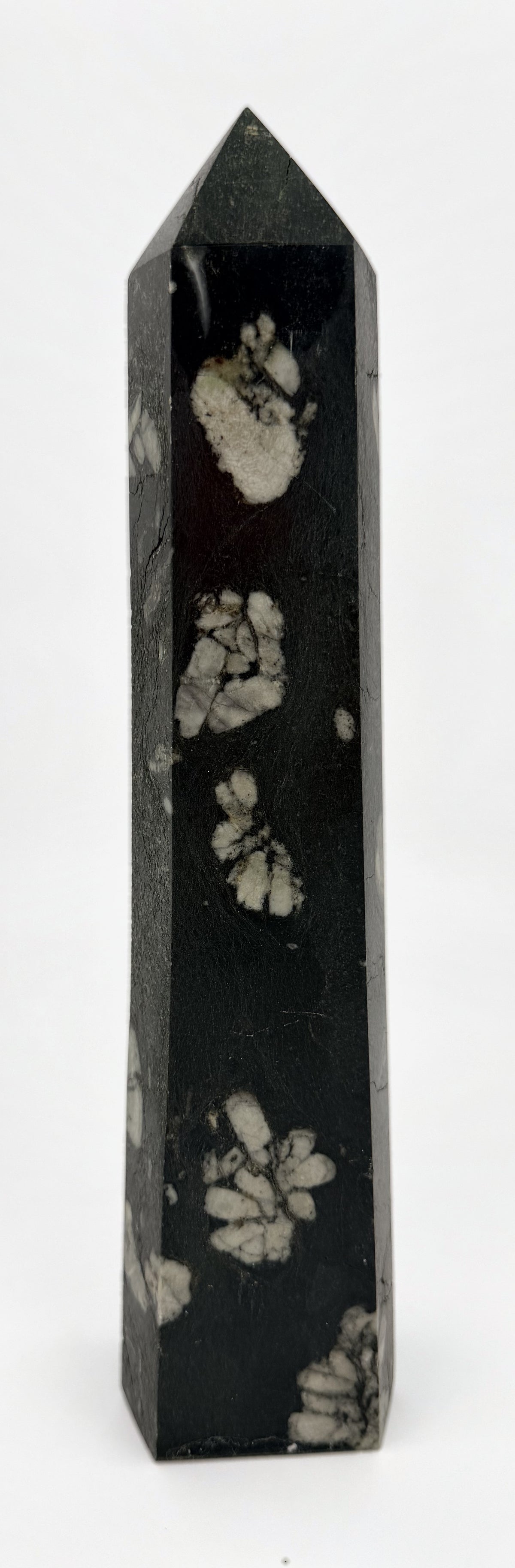 03-back.jpg