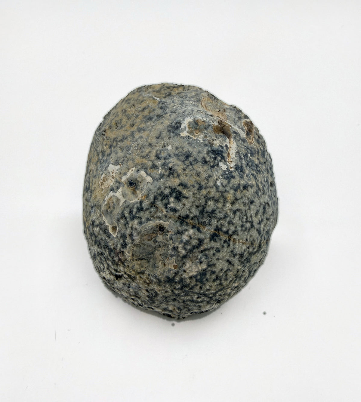 03-back.jpg
