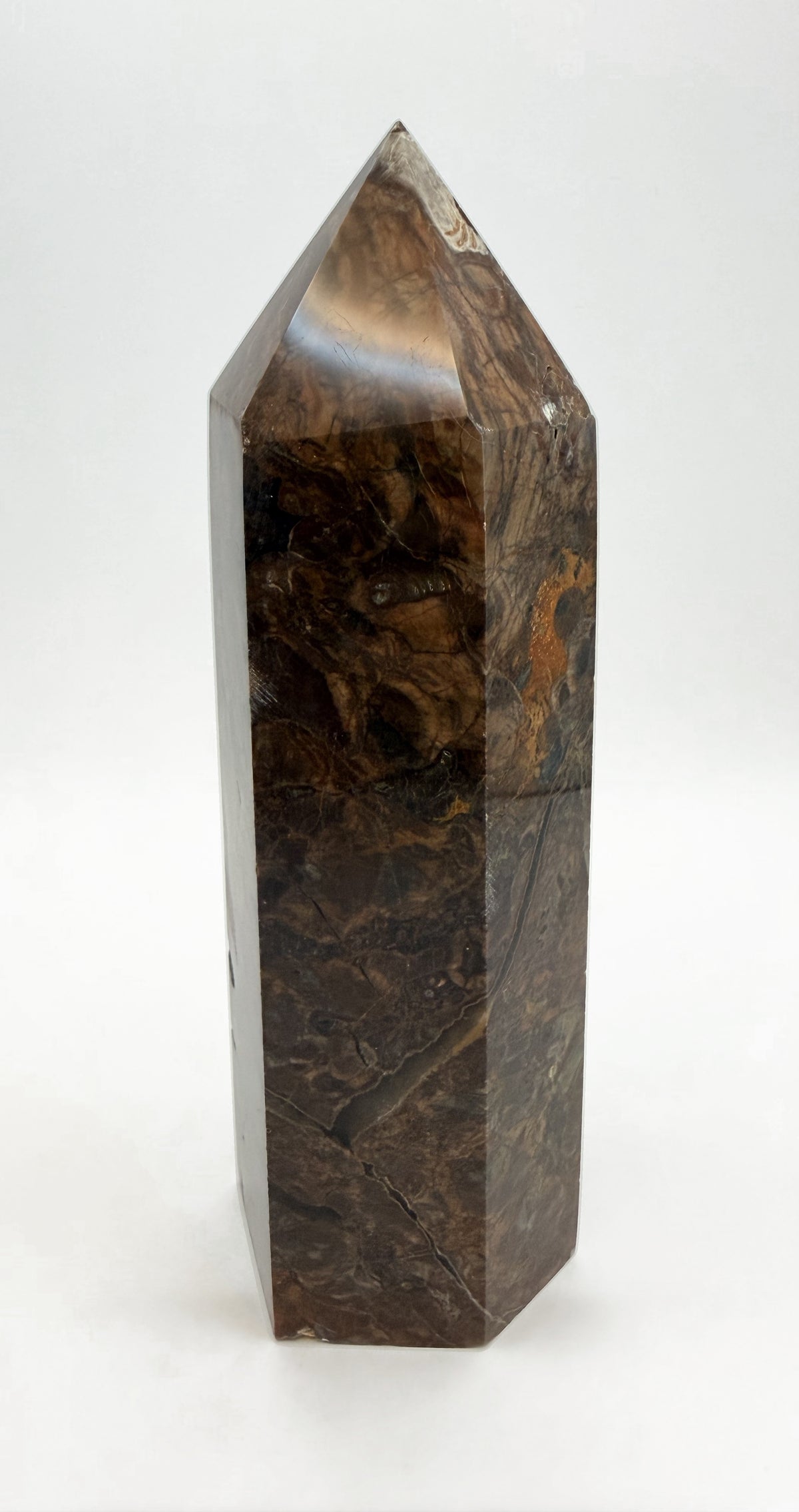 03-back.jpg