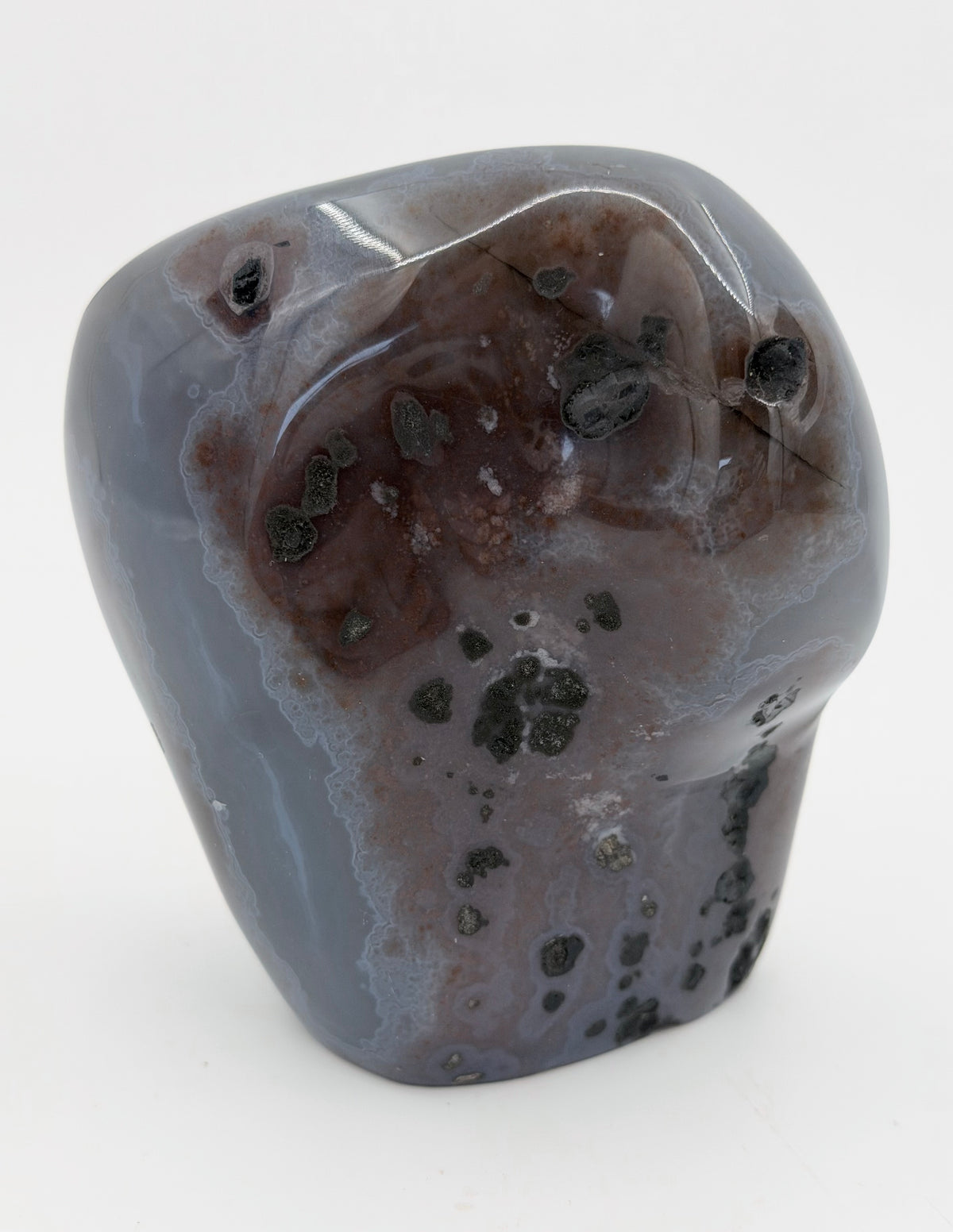 03-back.jpg