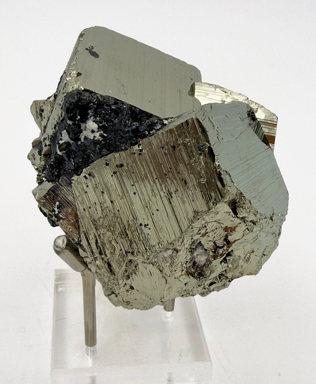 03-back.jpg