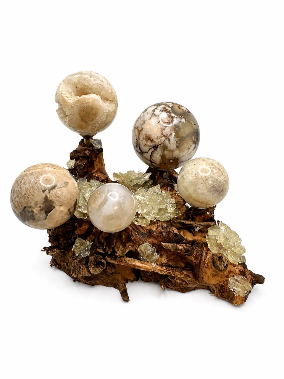Yellow Fluorite Crystal Sphere Display | Natural Driftwood Base | 5 Brass Holders