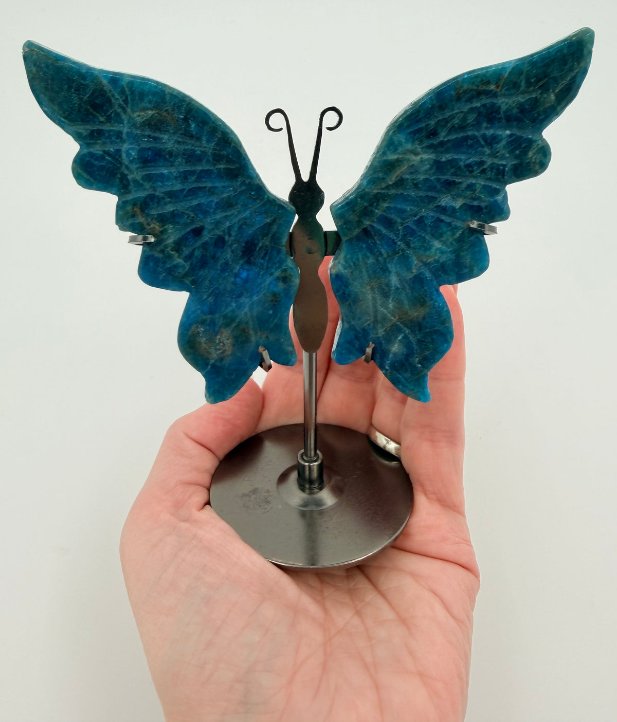 03-in-hand.jpg