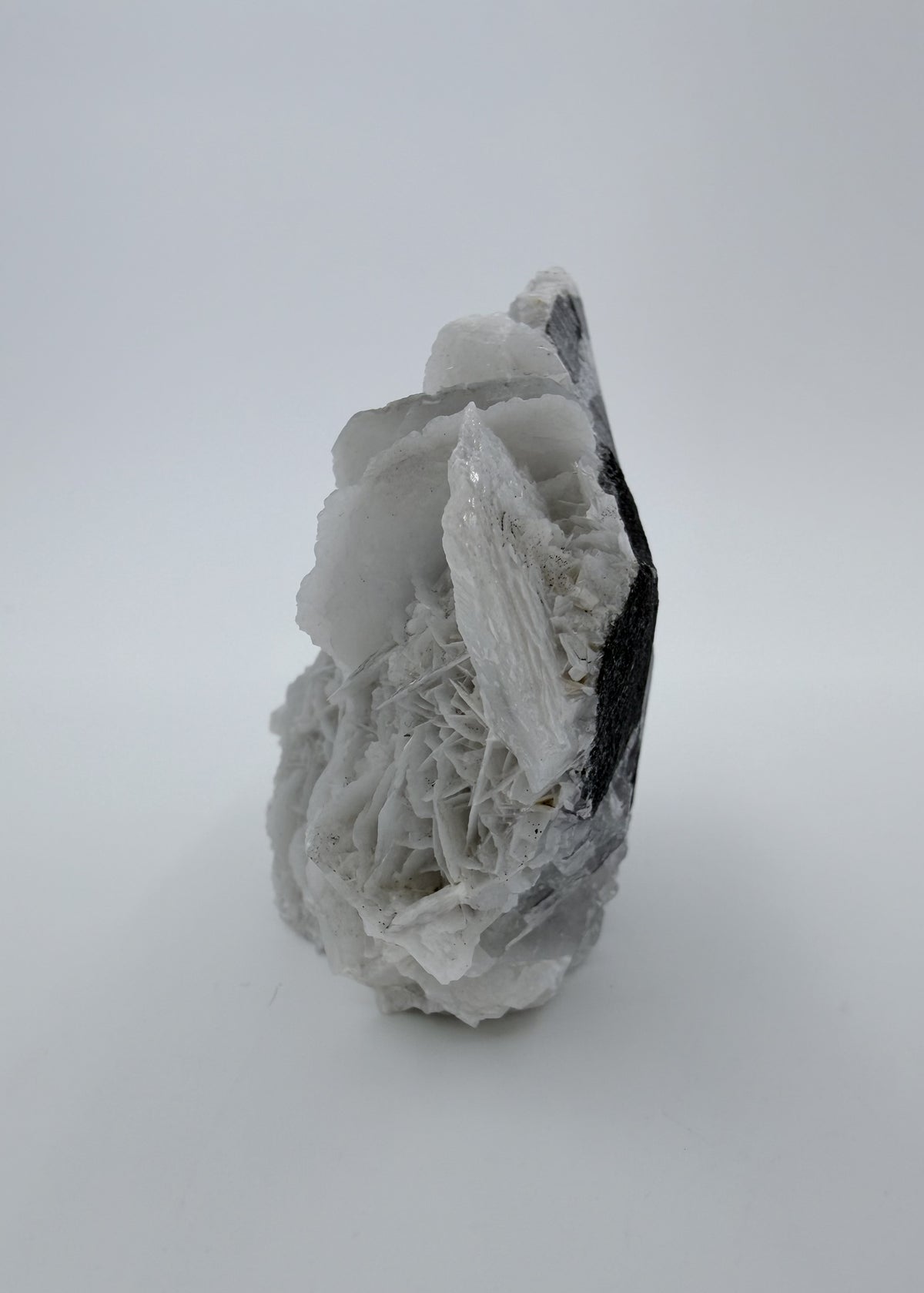 03-side-r3.jpg