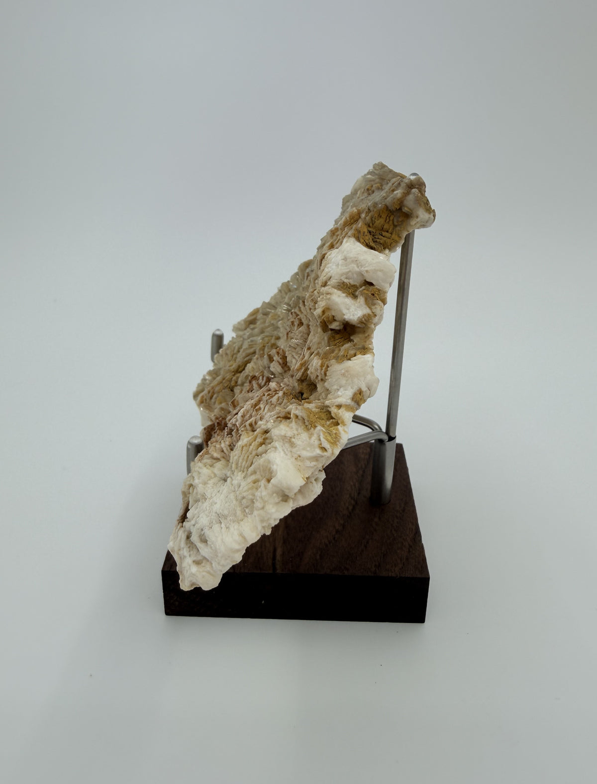 03-side.jpg