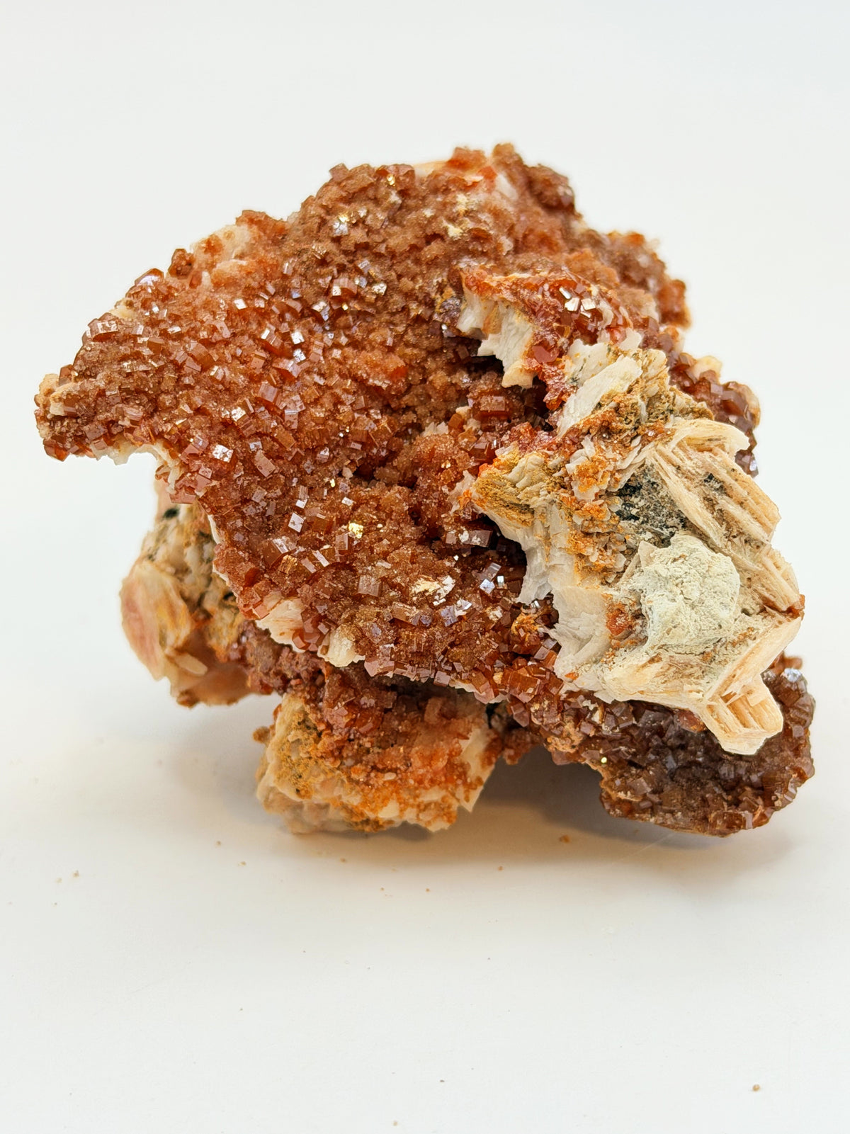 03-top-crust.jpg