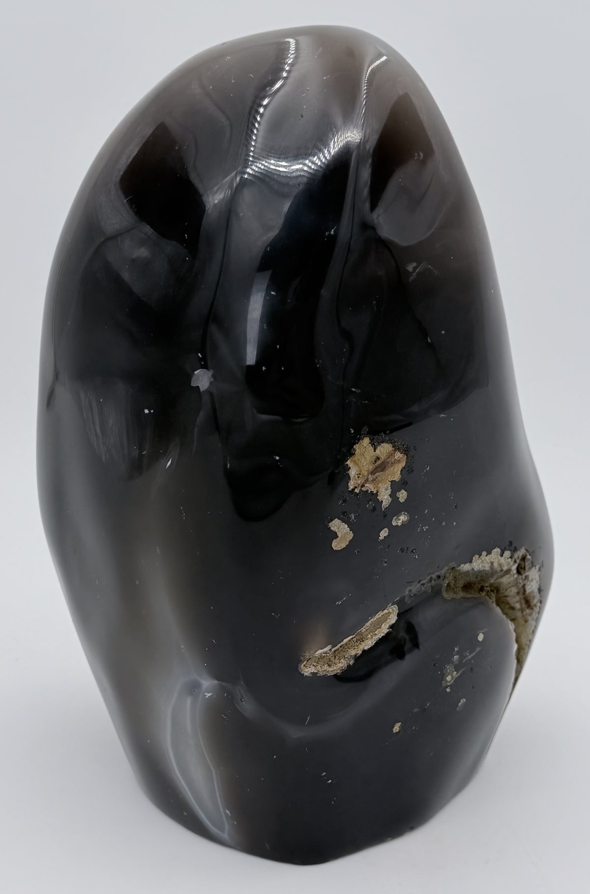 04-back.jpg