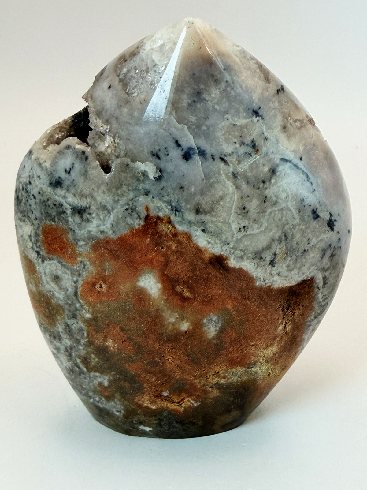 04-back.jpg