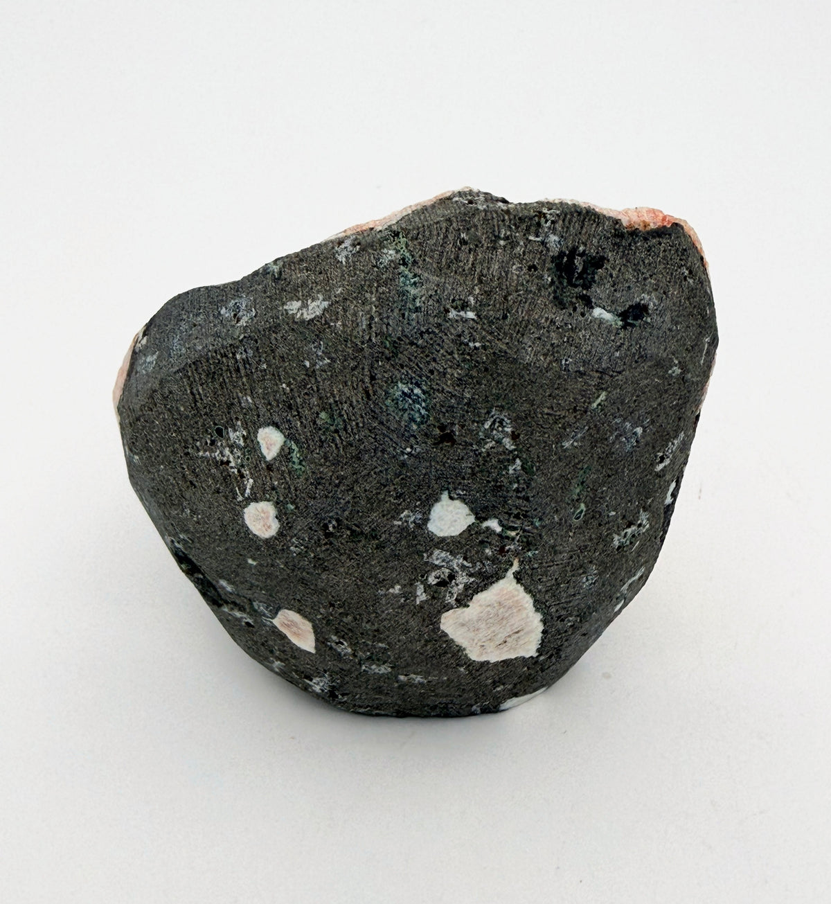 04-back.jpg