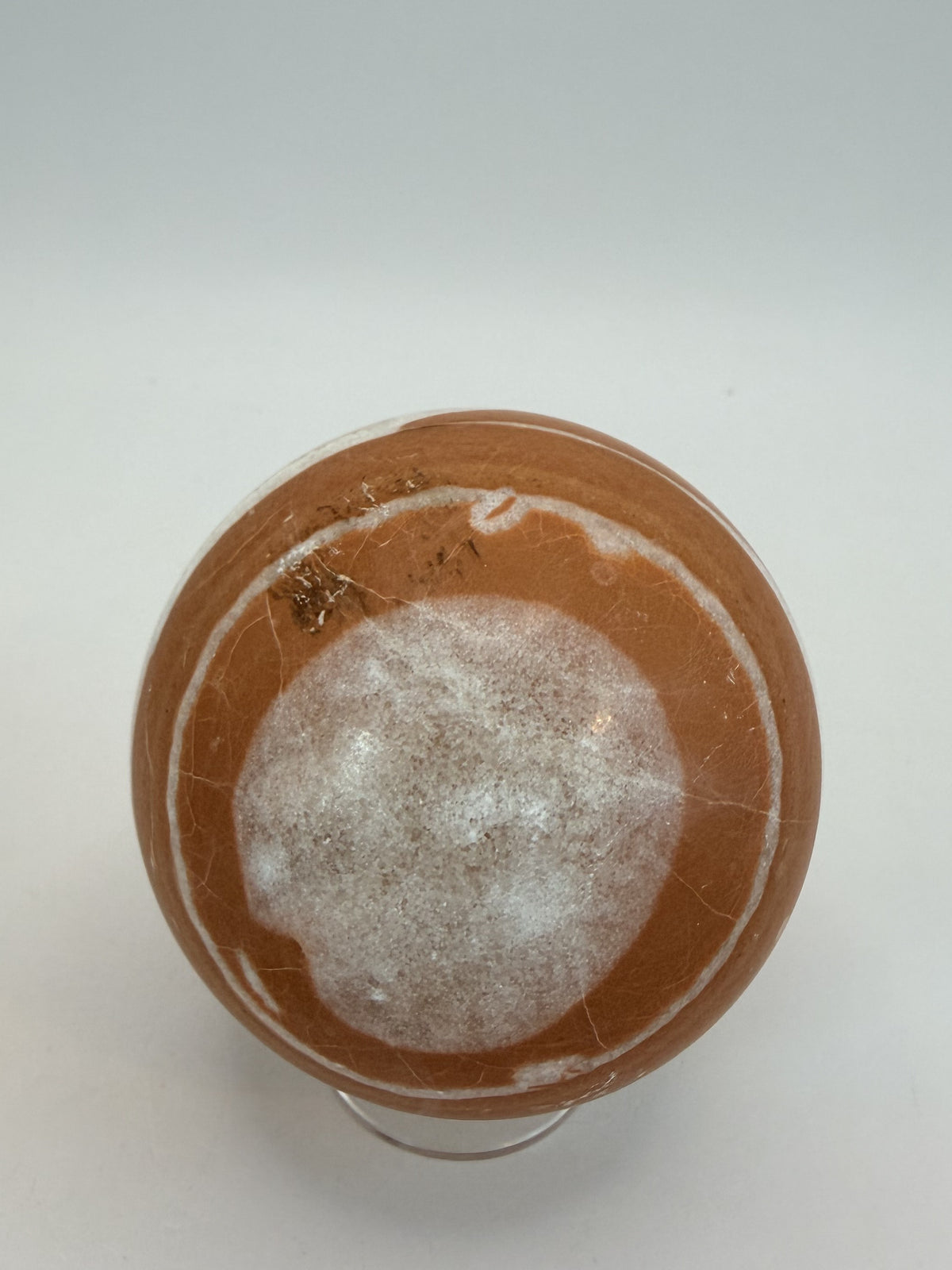 04-back.jpg
