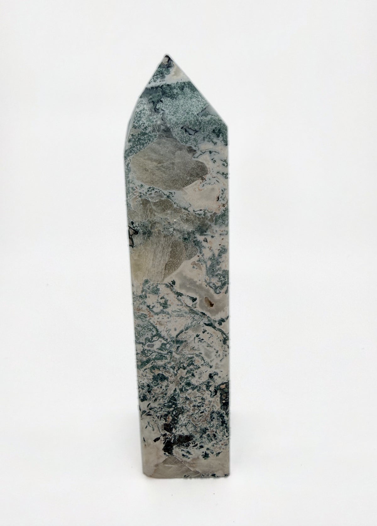04-back.jpg