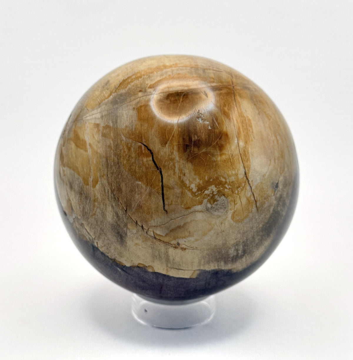 Petrified wood sphere, gold and red