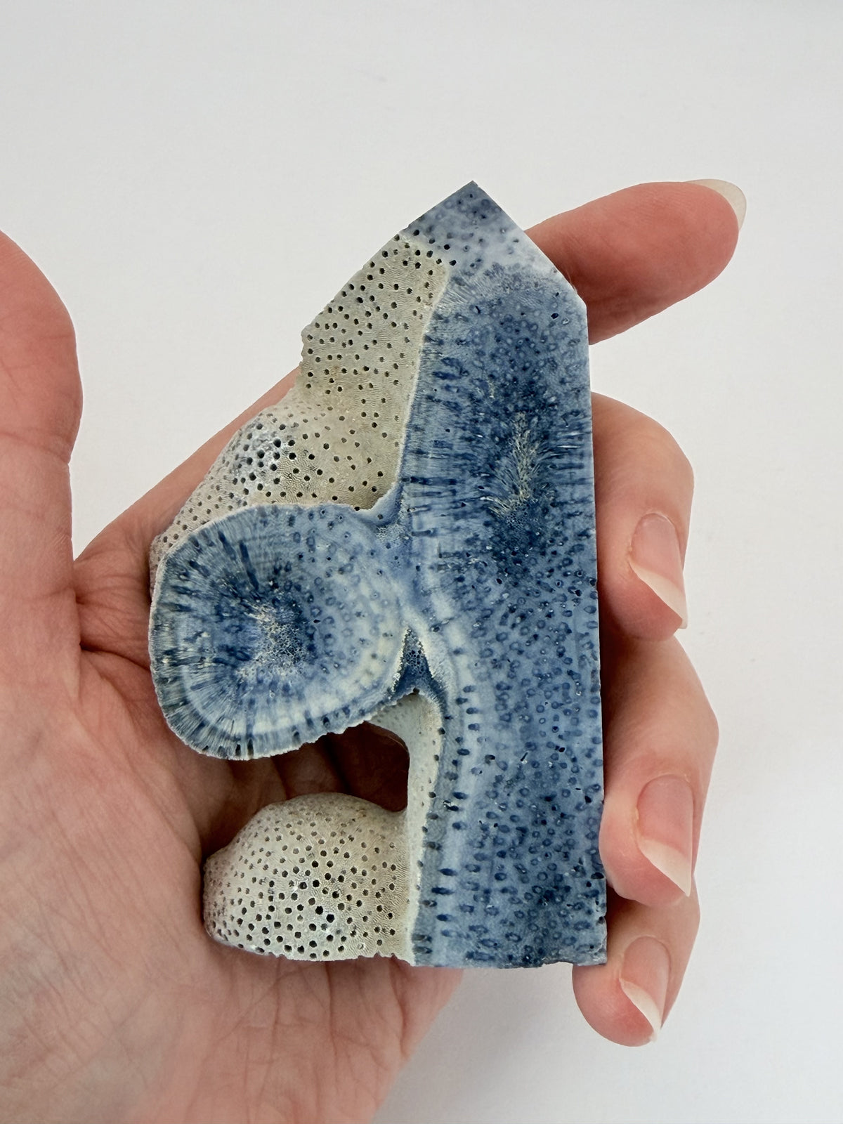 Blue coral tower held in a hand for scale