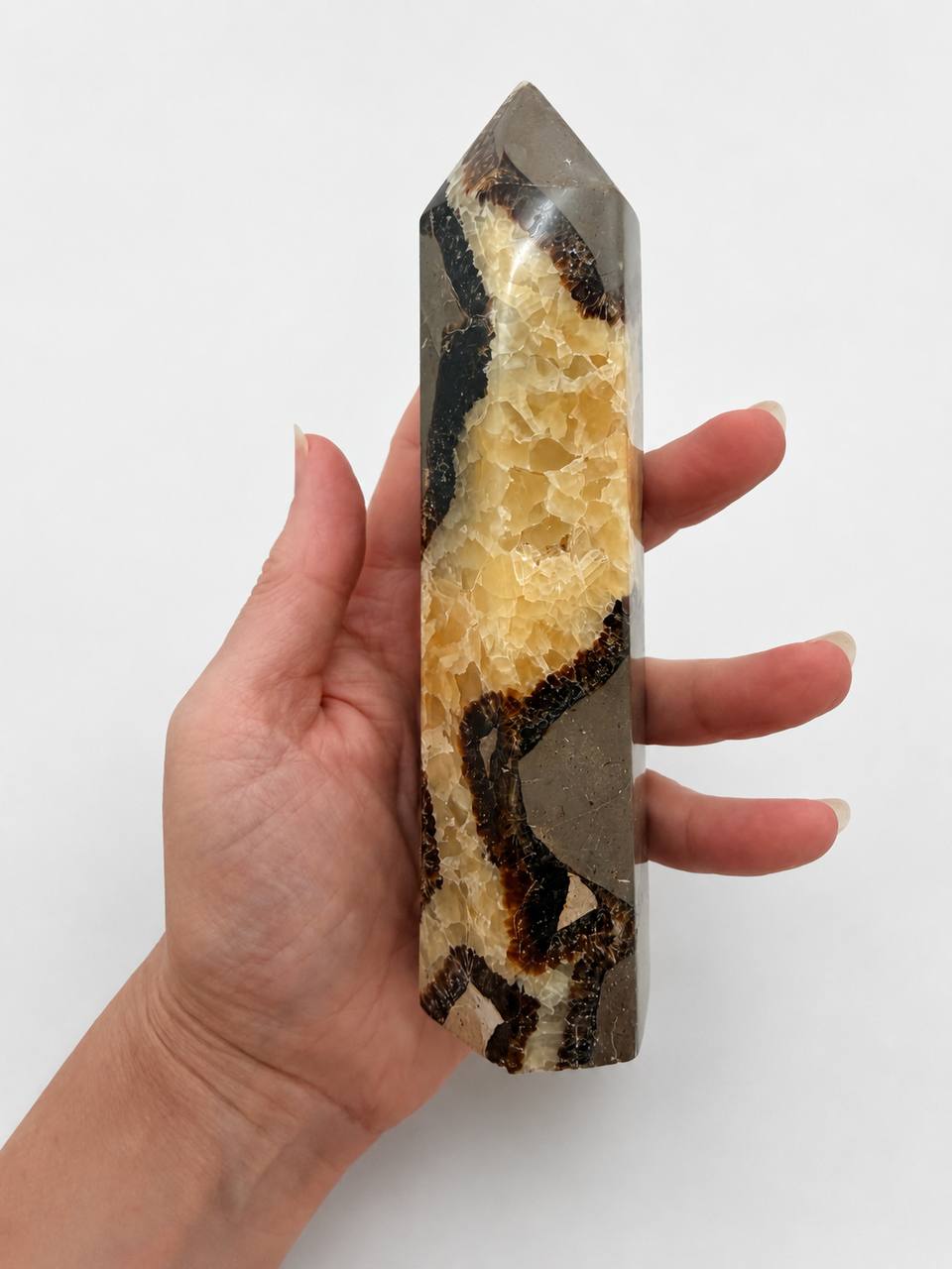 Septarian Dragon Stone Tower, hand held showing golden calcite veins