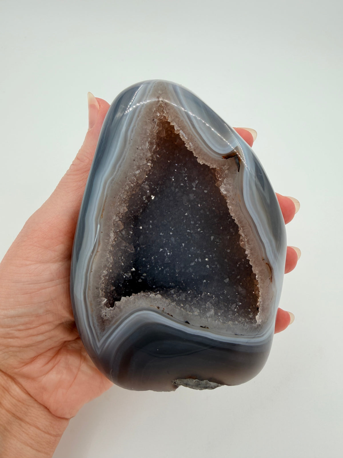 05-in-hand.jpg