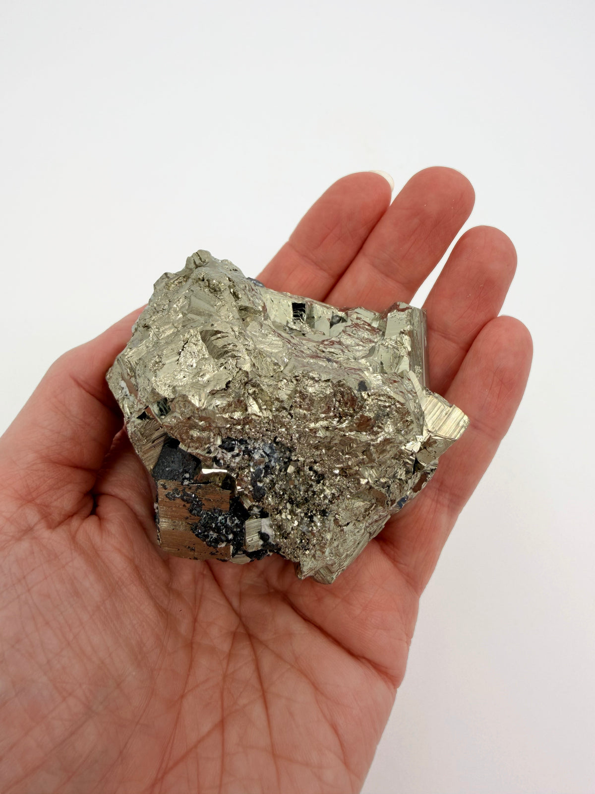 05-in-hand.jpg