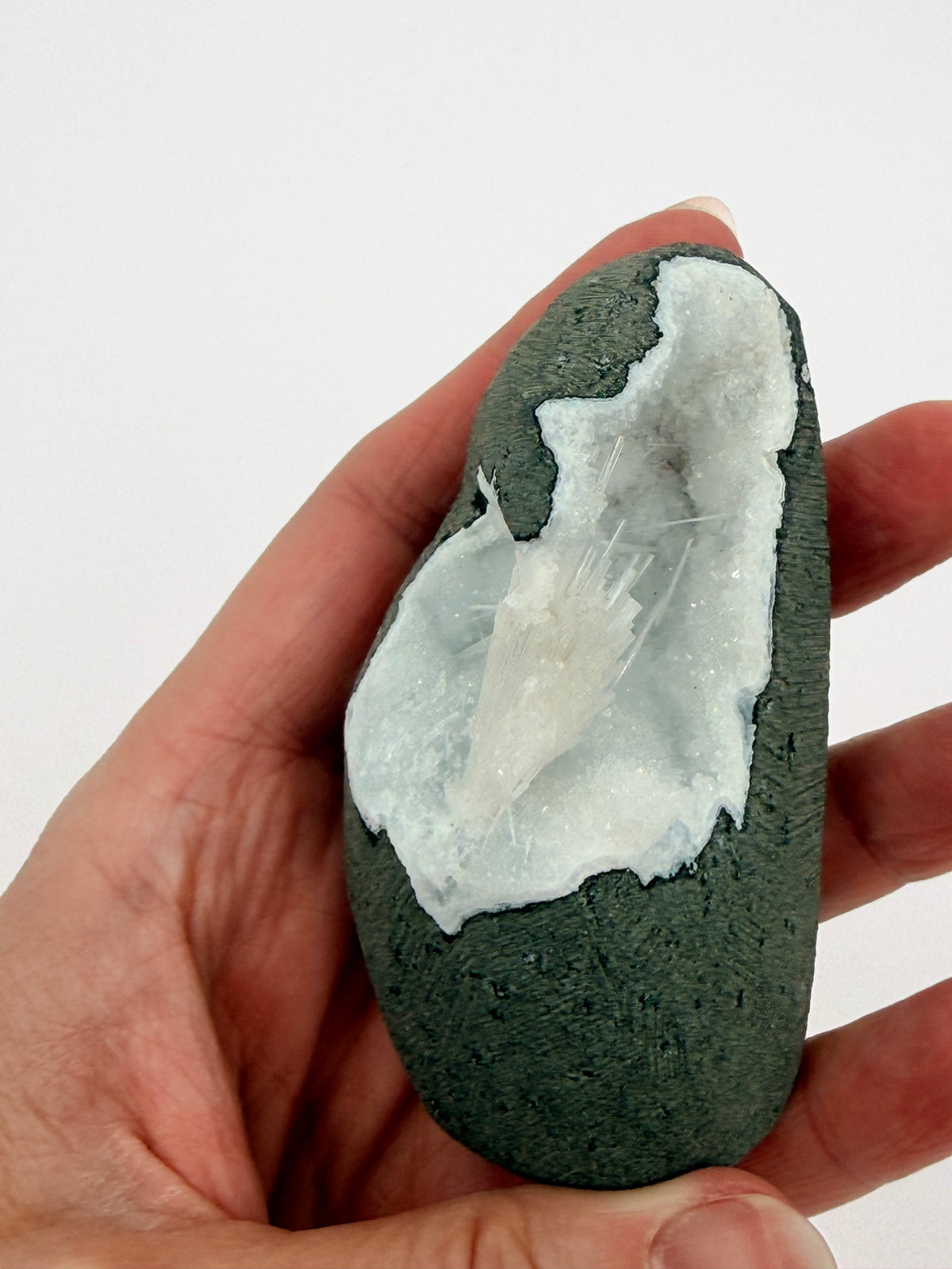 05-in-hand.jpg
