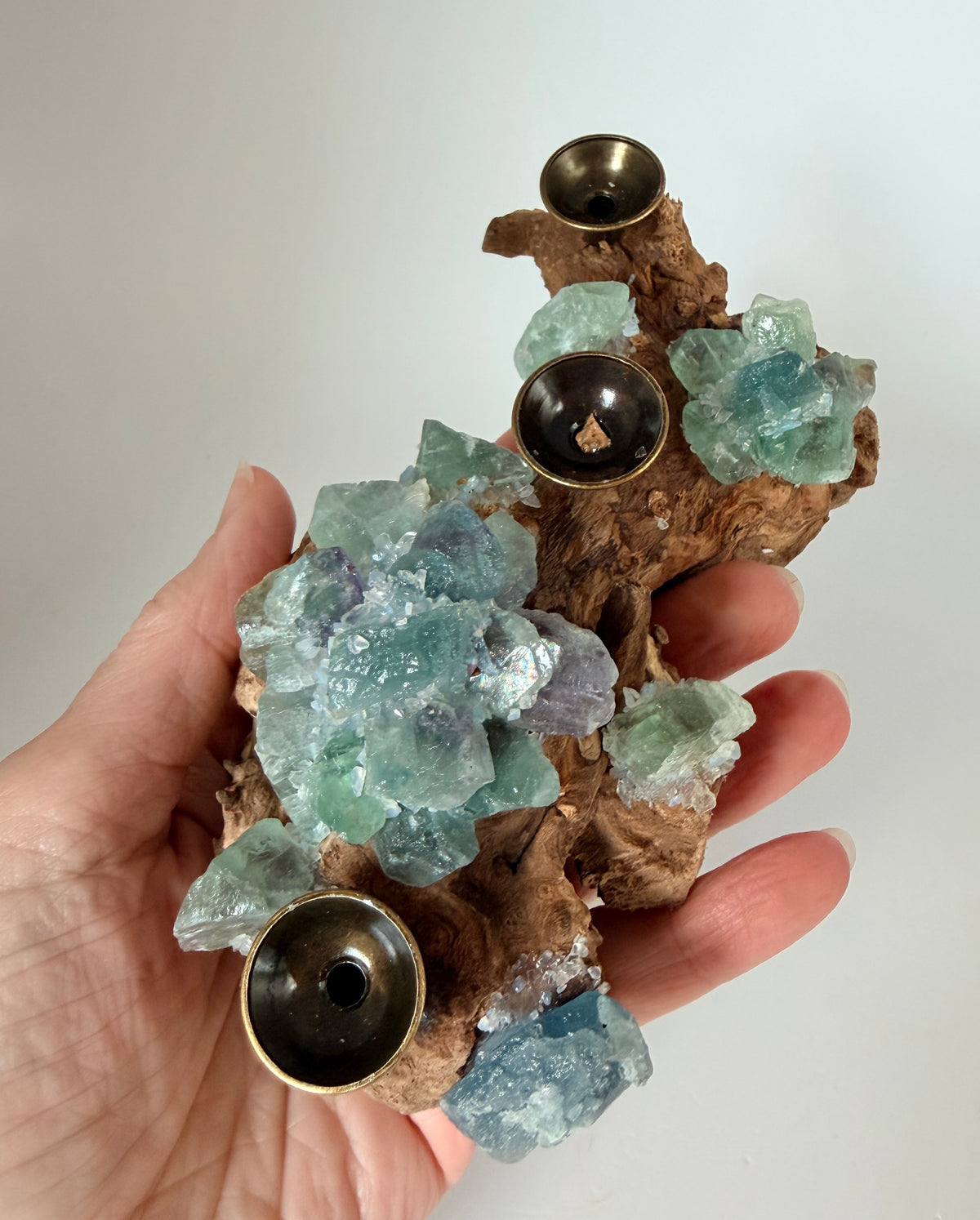05-in-hand.jpg
