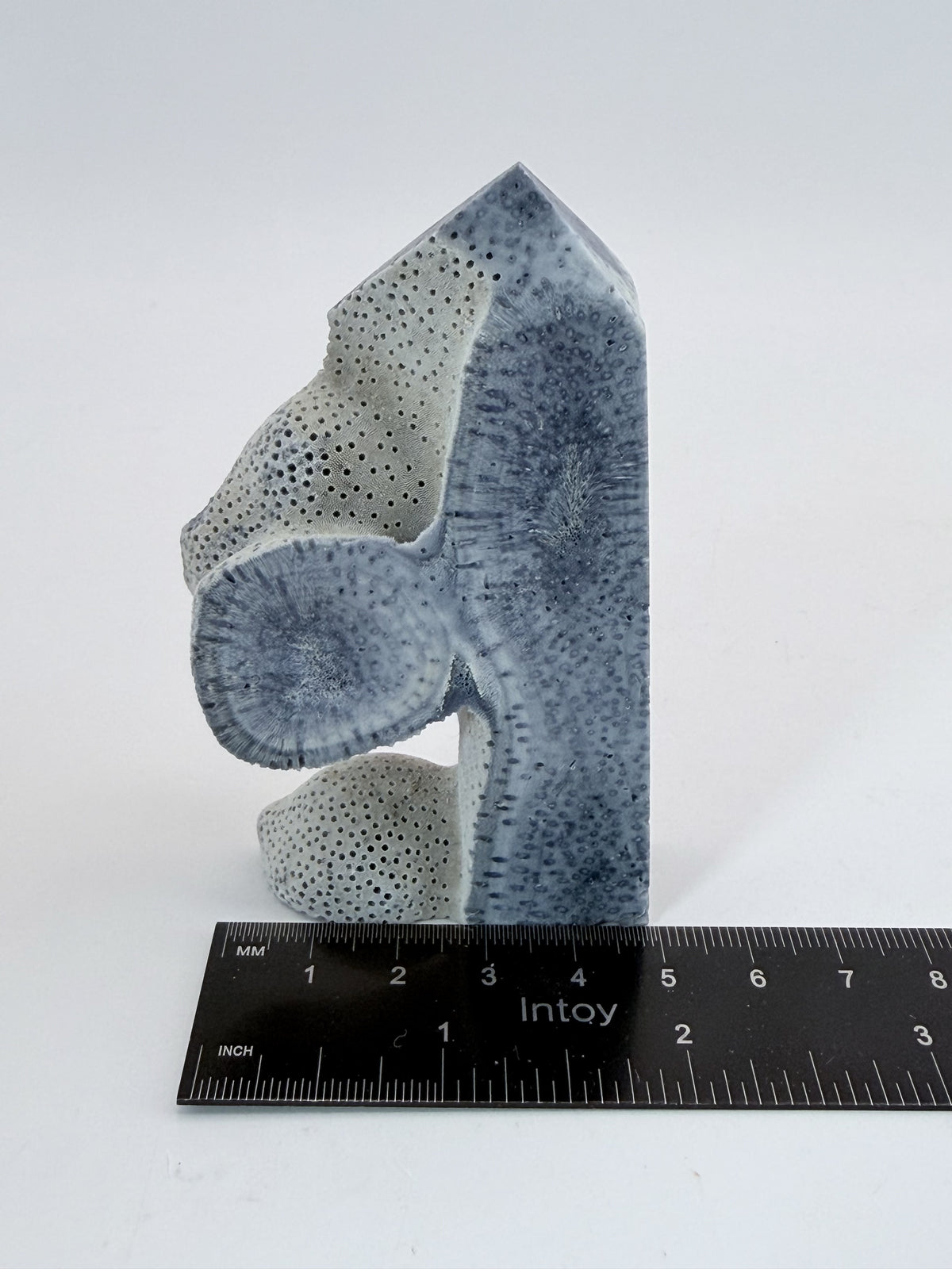 Blue coral tower beside a ruler showing 2 inches wide