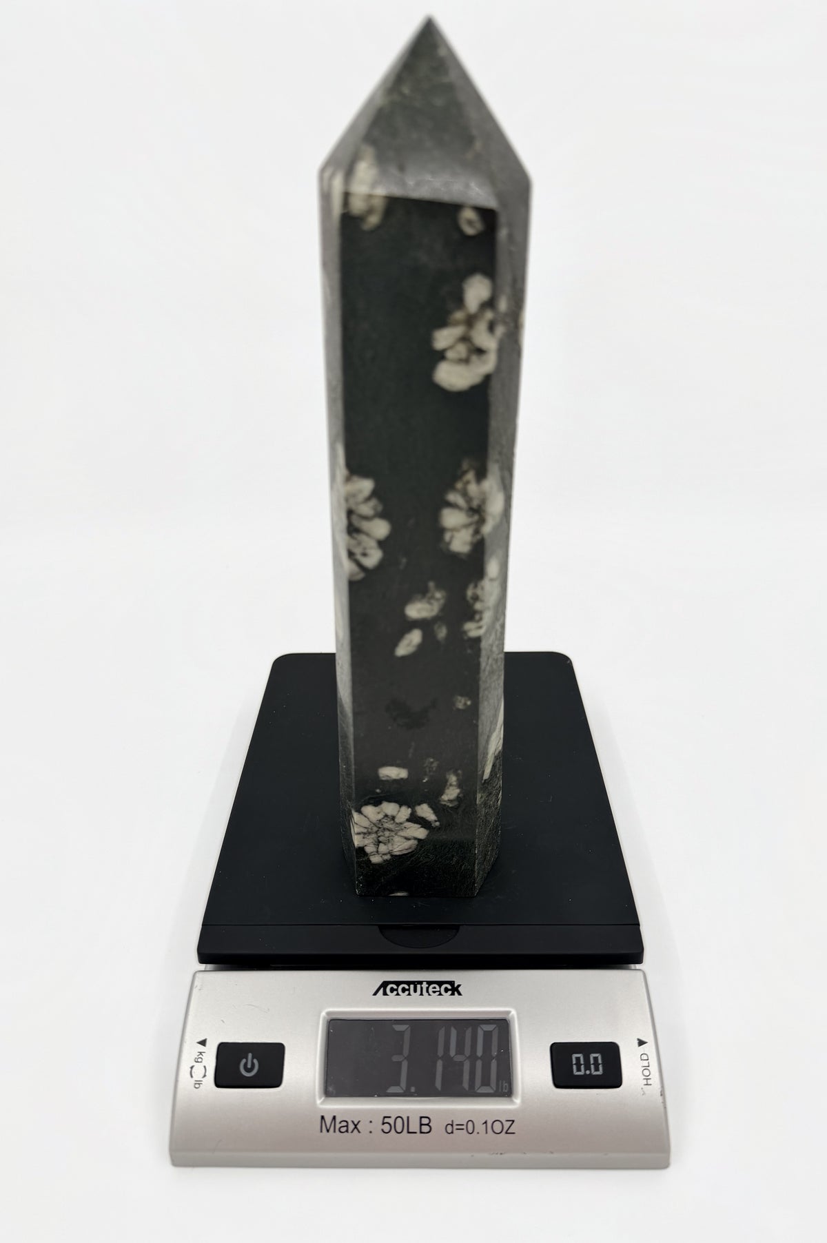 05-scale.jpg