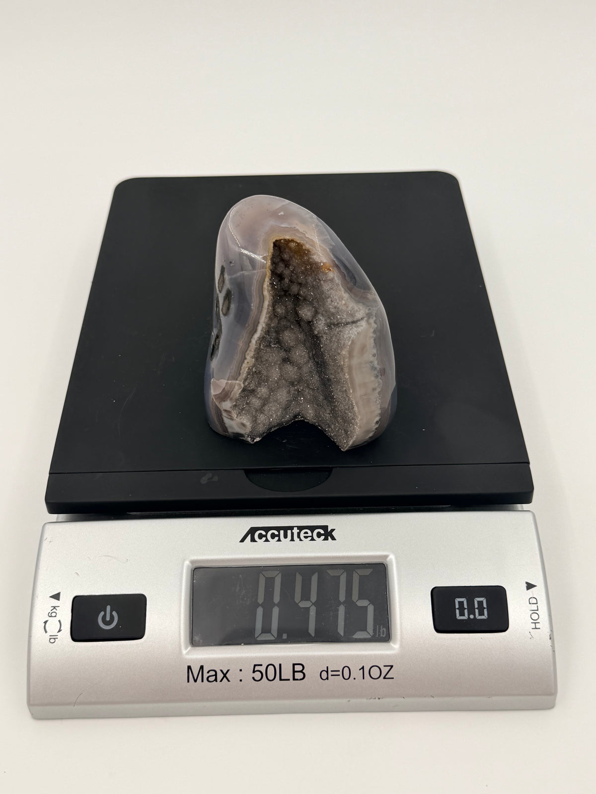 05-scale.jpg