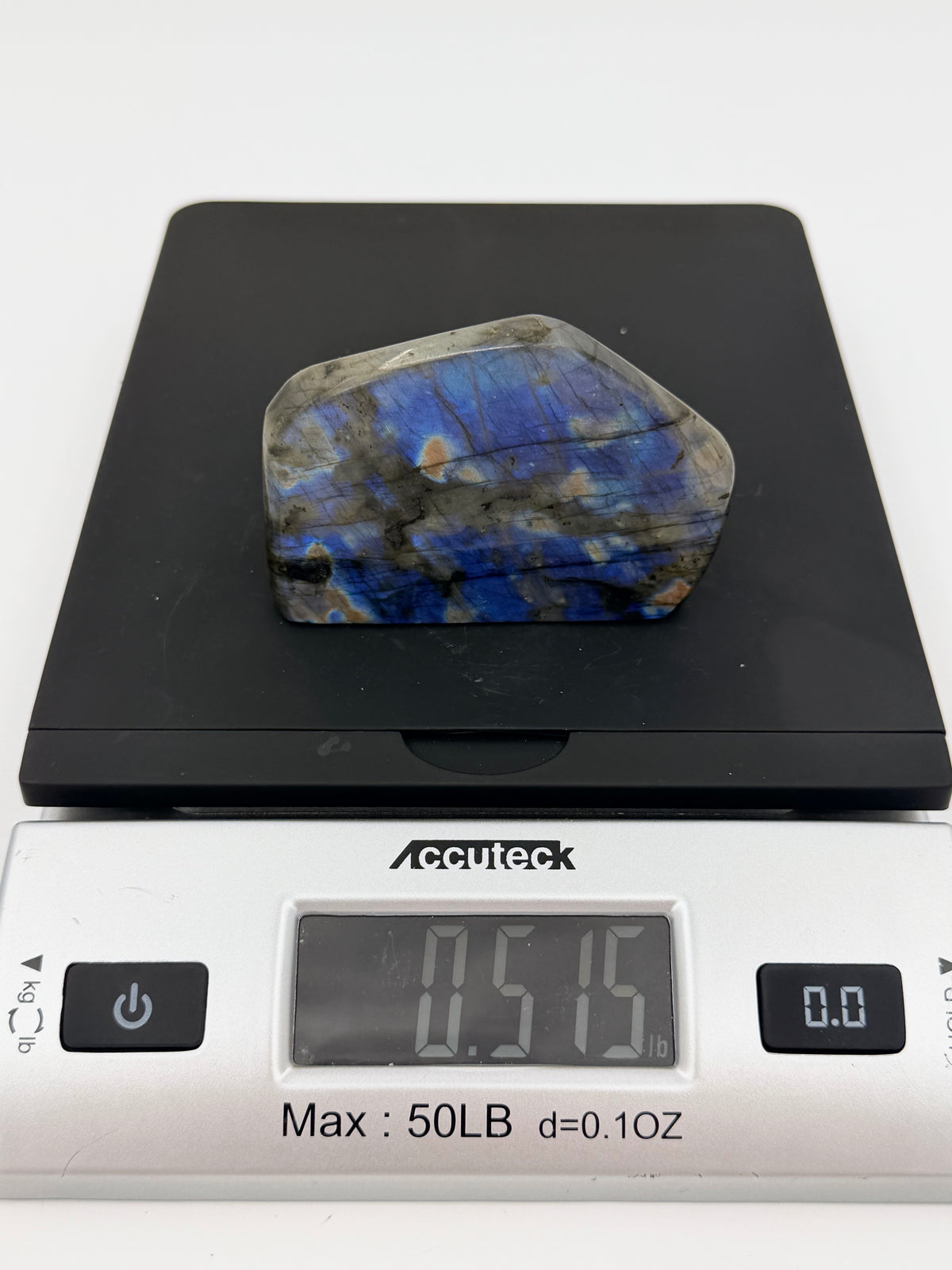 05-scale.jpg