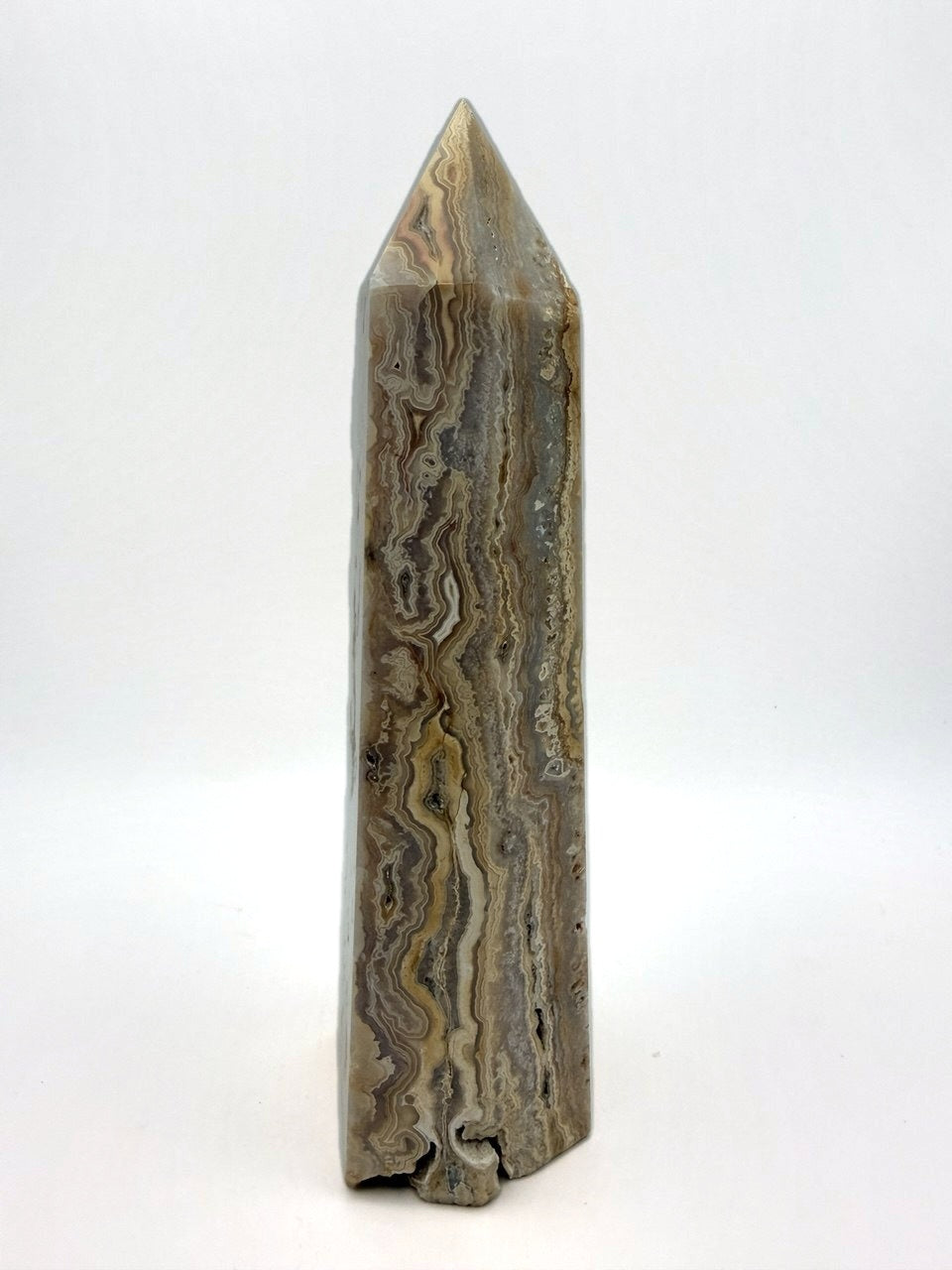 06-back.jpg