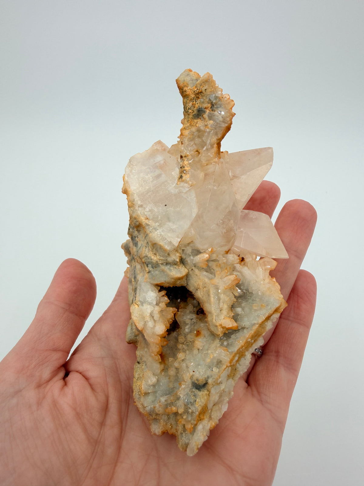 06-in-hand-back.jpg