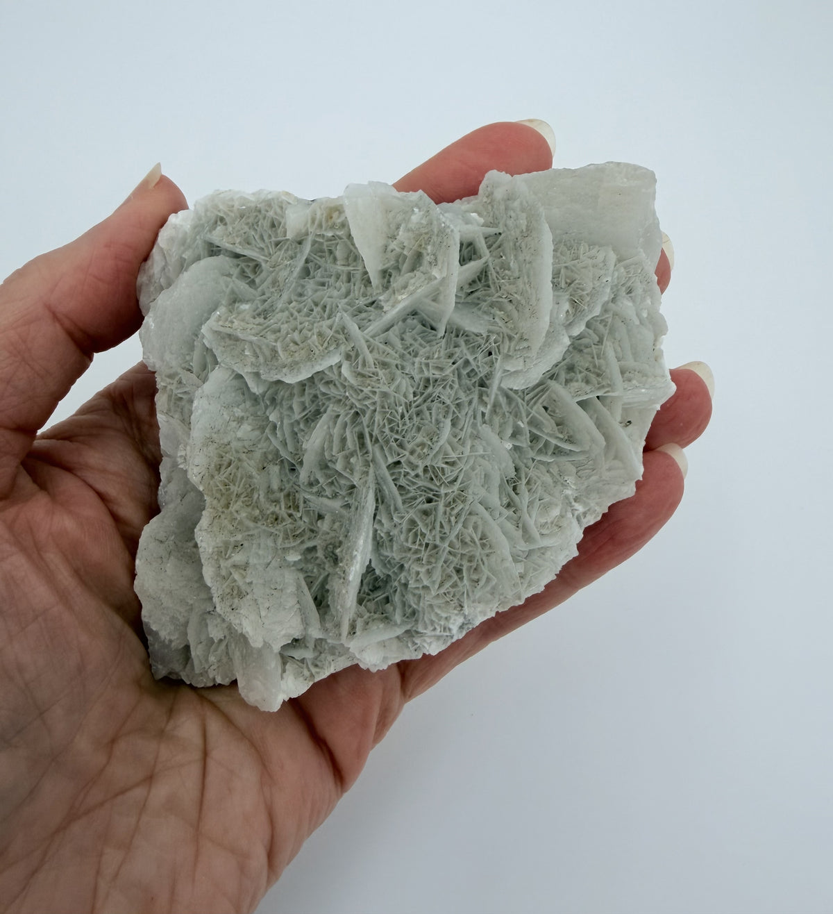 06-in-hand-r3.jpg