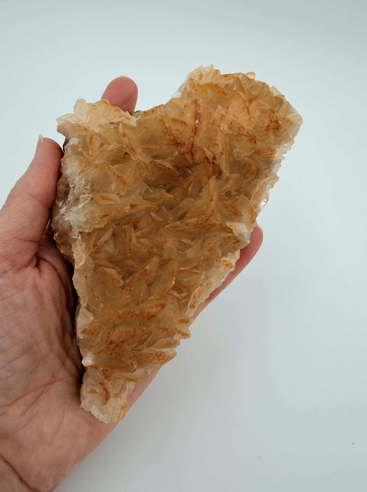 06-in-hand.jpg