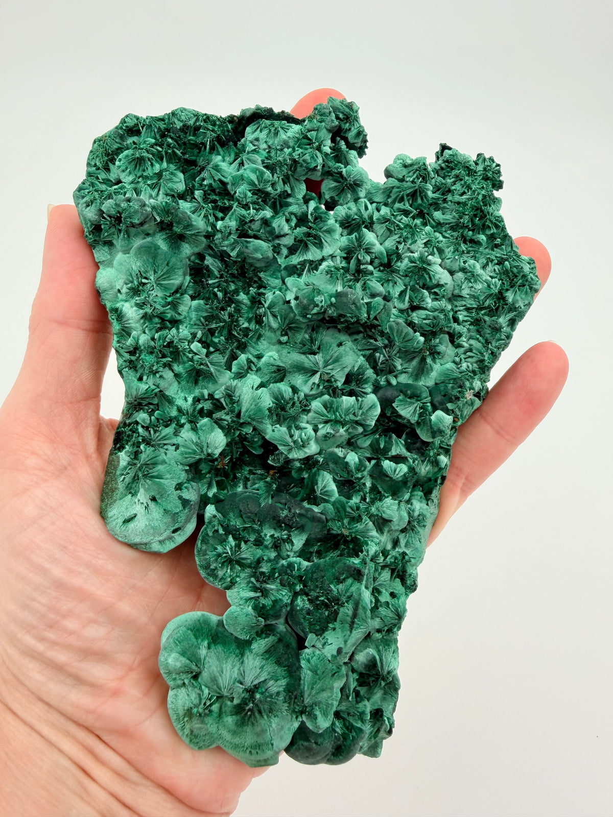 06-in-hand.jpg
