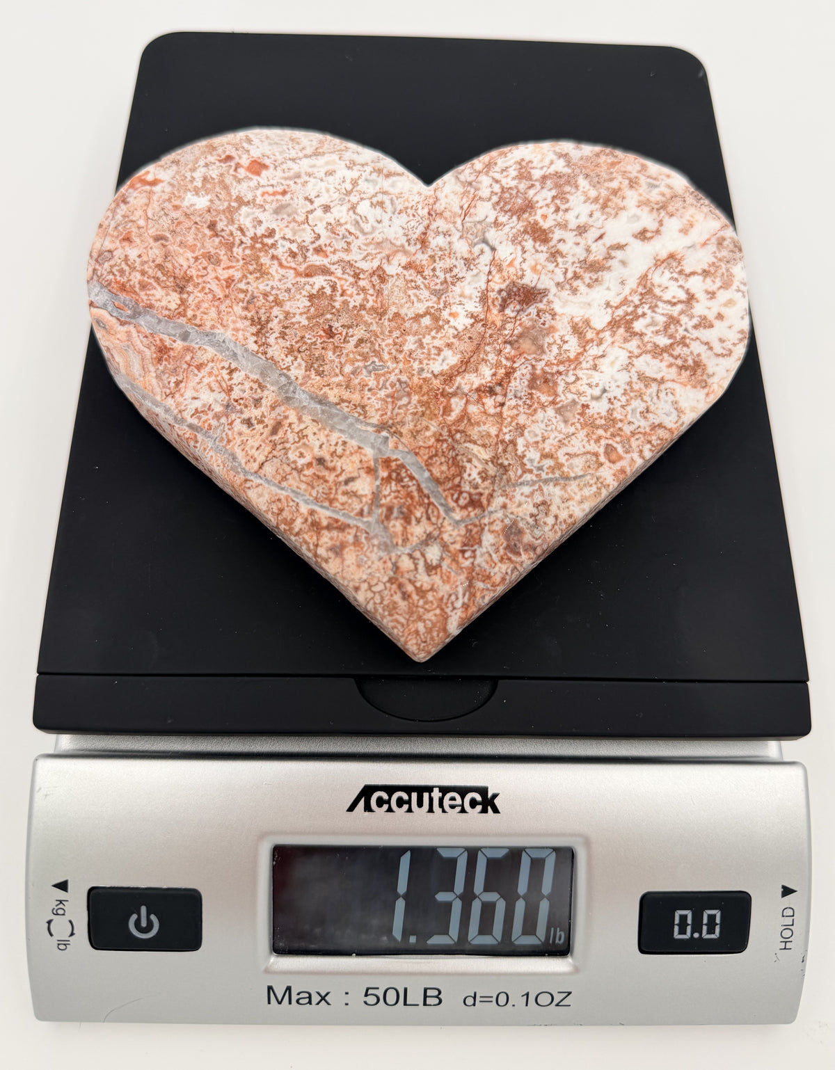 06-scale.jpg