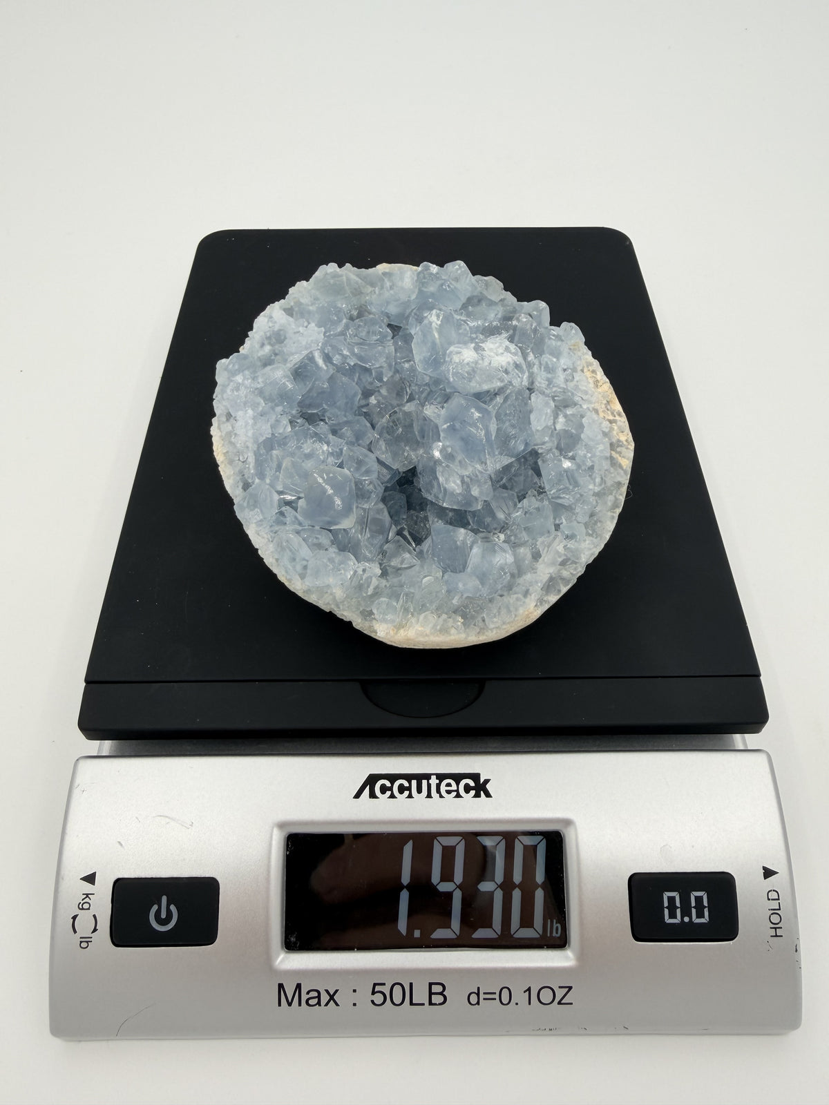 06-scale.jpg