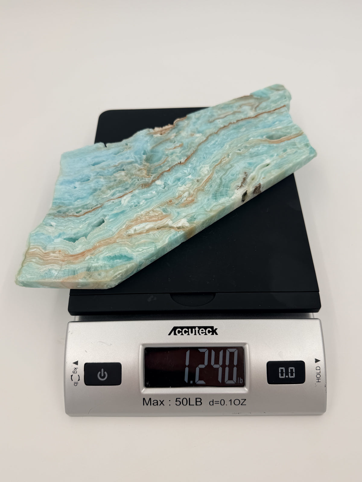 06-scale.jpg