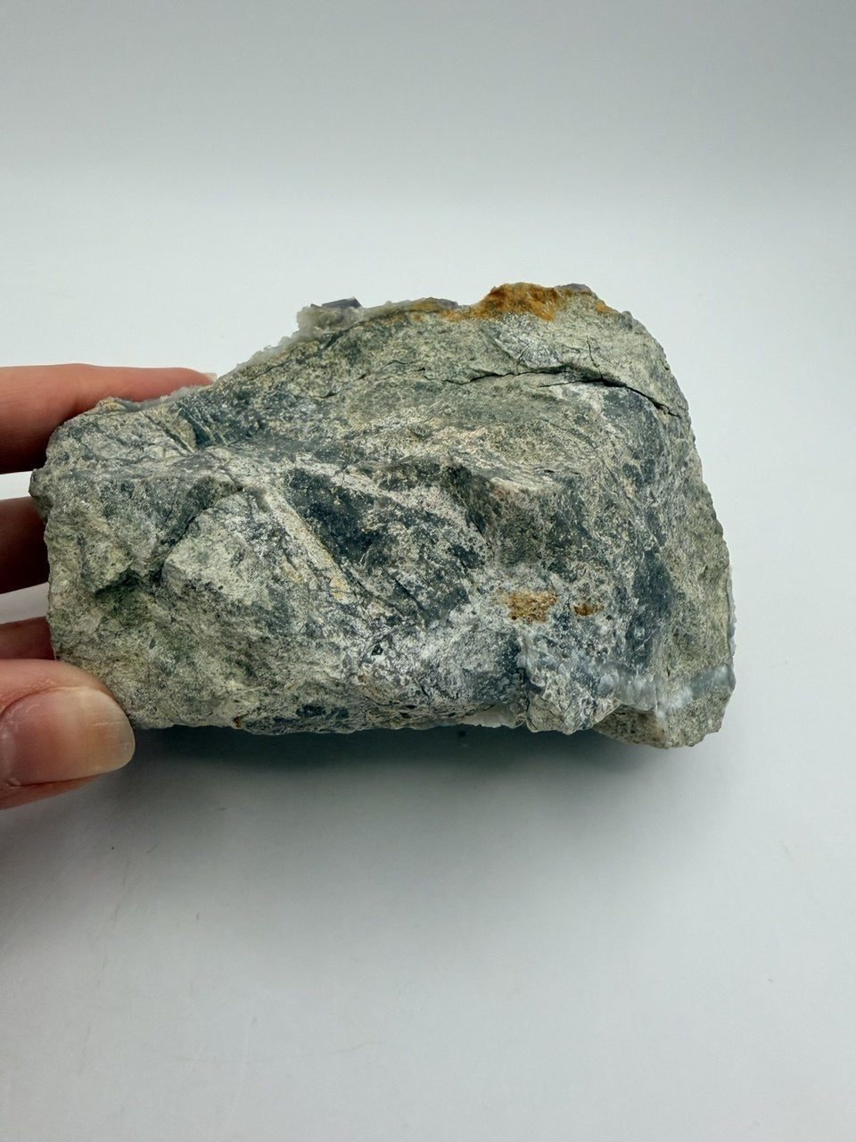 07-in-hand-back.jpg