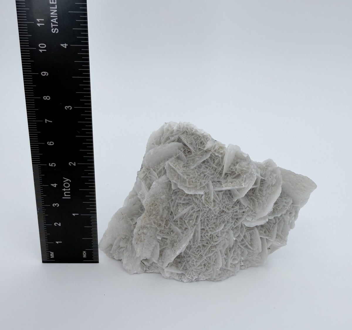 07-ruler-height-r3.jpg