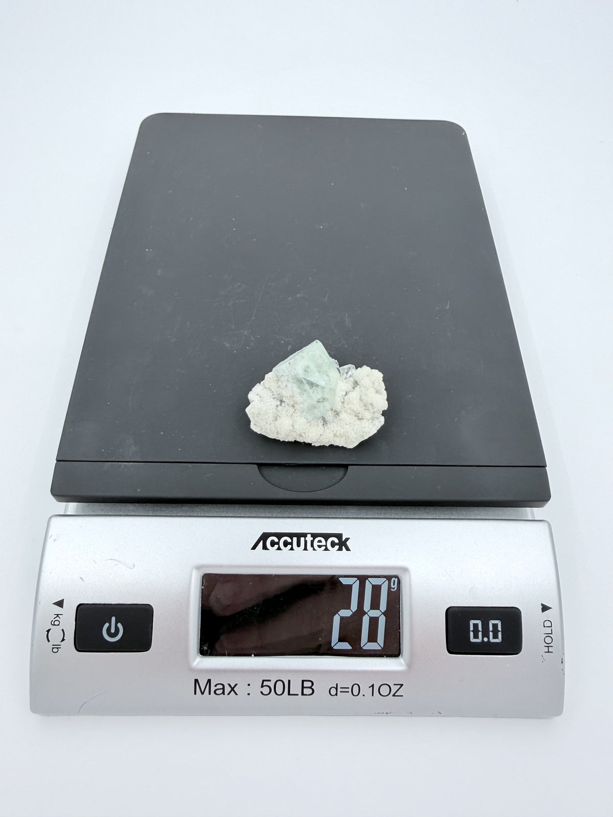 07-scale.jpg